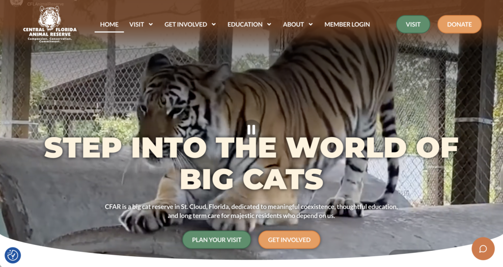 A tiger walks behind a fence at Central Florida Animal Reserve. Large text reads “Step into the world of big cats.” The website’s menu and buttons for visit planning and donations are visible, contributing to a captivating Website Design Portfolio that highlights immersive user experiences.